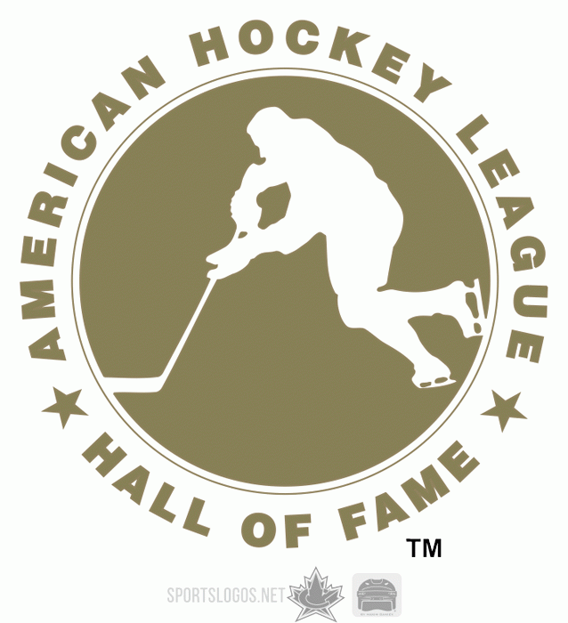 American Hockey League 2005 06-Pres Misc Logo iron on transfers for T-shirts